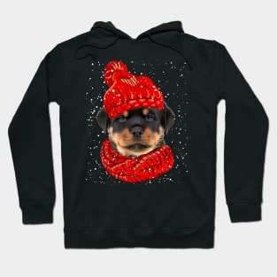 Rottweiler Wearing Red Hat And Scarf In Snow Christmas Hoodie